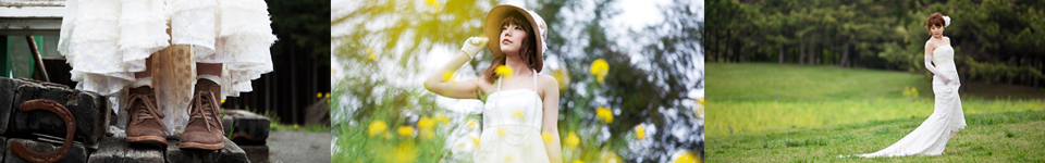 コレクションイメージ